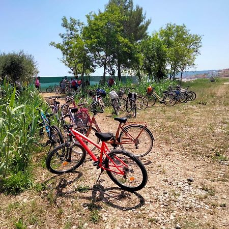 B&B Il Battocchio Λαντσιάνο Εξωτερικό φωτογραφία
