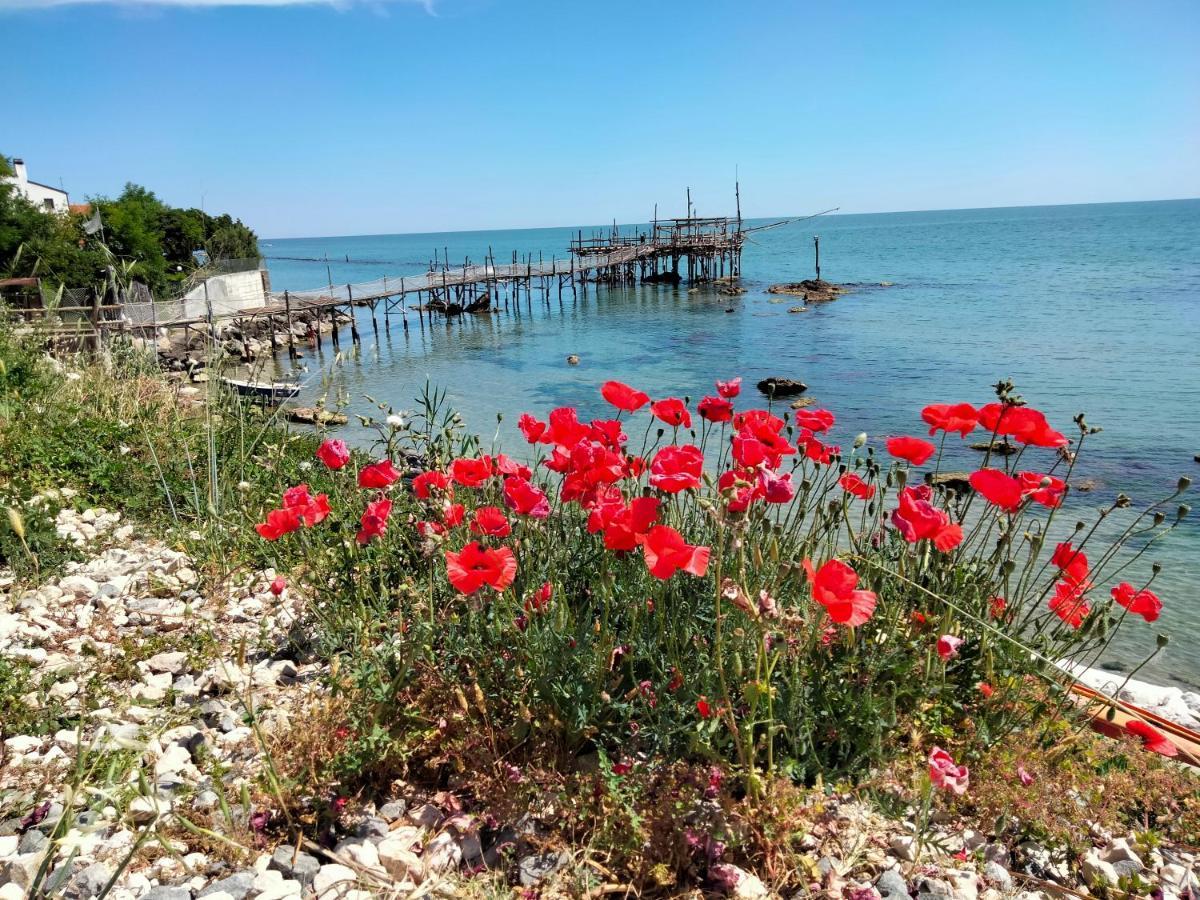 B&B Il Battocchio Λαντσιάνο Εξωτερικό φωτογραφία